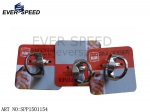 SPP1501154